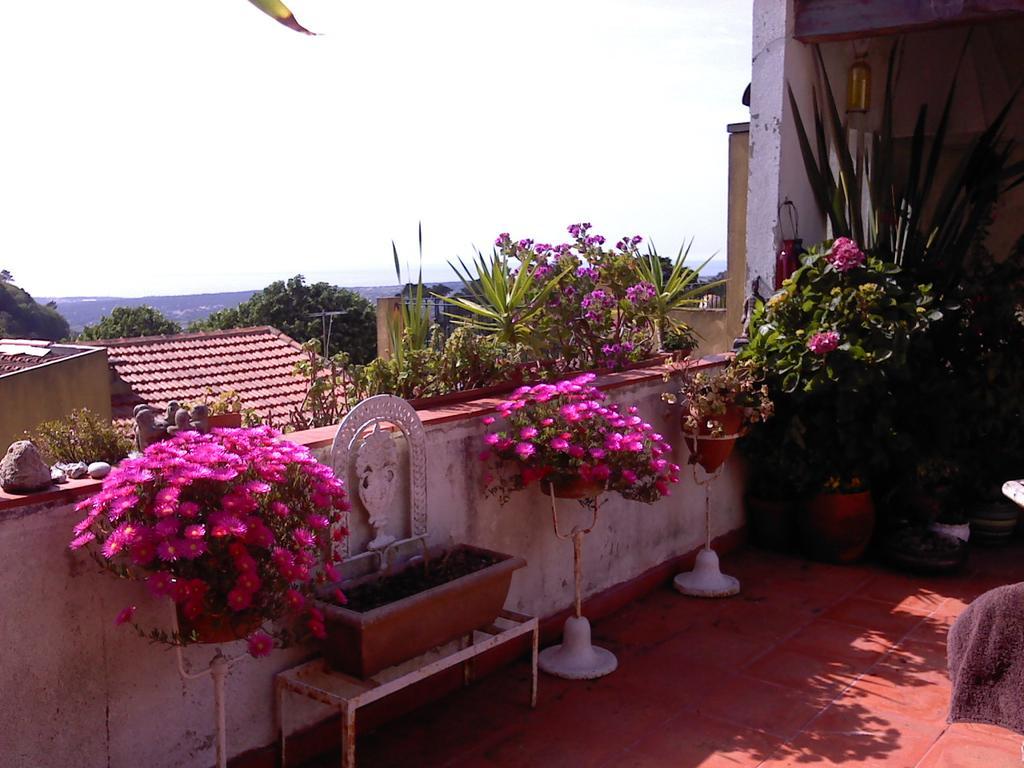 Isa'S Home Sintra Exterior photo
